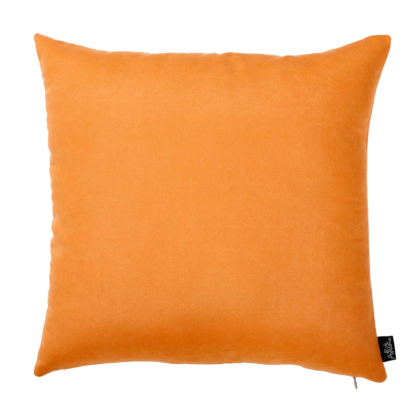 Decorative Fall Thanksgiving Throw Pillow Cover Set of 2 Pumpkin & Solid Orange